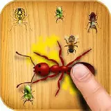 Прикосновение муравьев