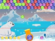 Зимний пузырь Зимний пузырь